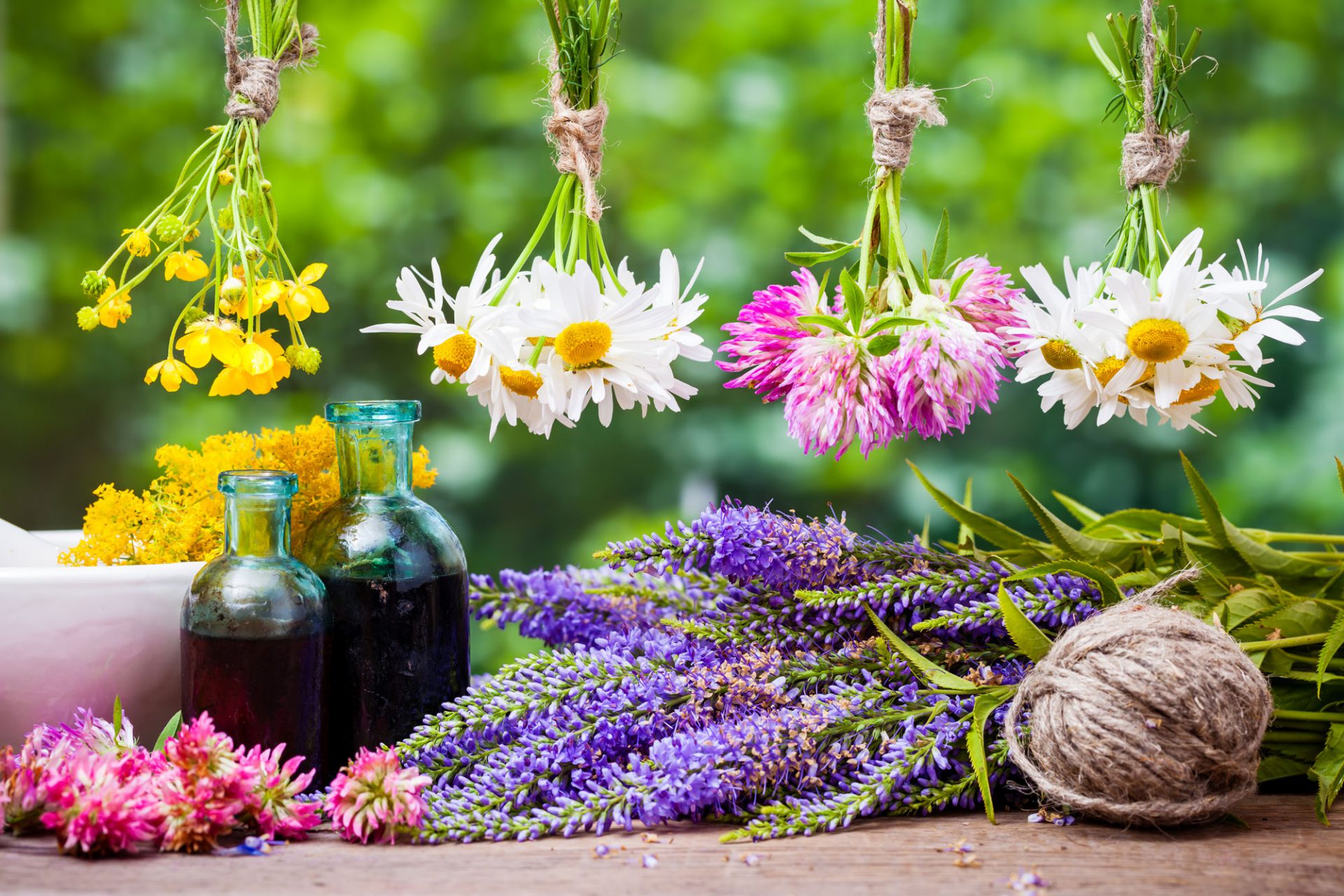 ANSIA, AUTOSTIMA E VOLONTÀ: DAI FIORI DI BACH UN AIUTO PER MIGLIORARE L'EQUILIBRIO